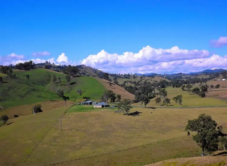 Main view of Homely rural property listing, 137 Wallanbah Road, Gloucester NSW 2422