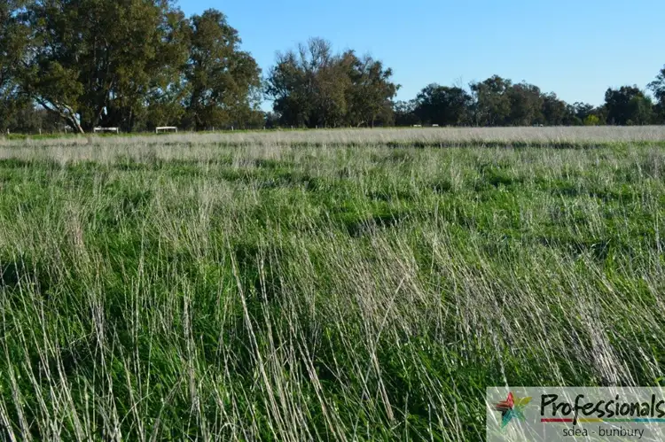 Fourth view of Homely rural property listing, Lot 109 Taylors Lane, Uduc WA 6220