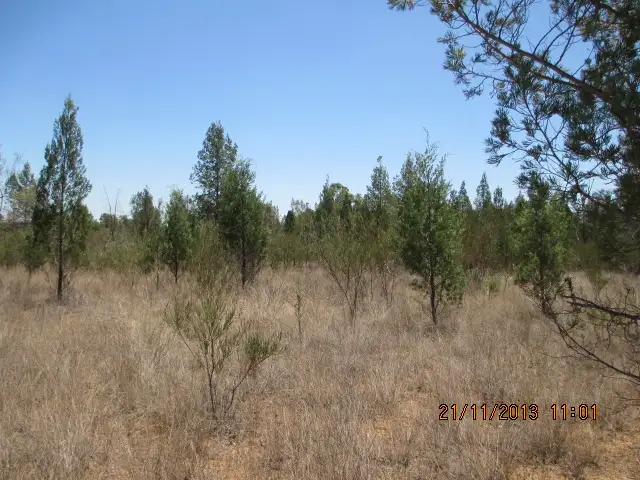 Fifth view of Homely rural property listing, 631 GORANBA LANE, Tara QLD 4421