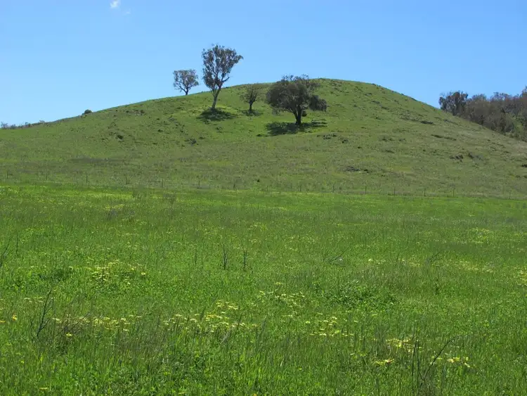 Fourth view of Homely rural property listing, 4078 Twelve Mile Road, Mudgee NSW 2850