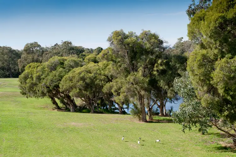 Third view of Homely house listing, 15 Aldine Ridge, Aveley WA 6069