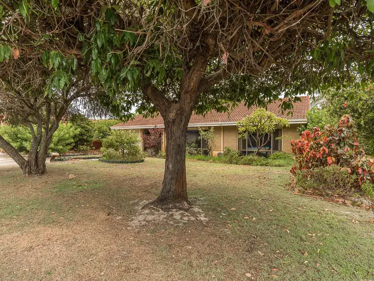 Third view of Homely house listing, 7 Ash Way, Morley WA 6062