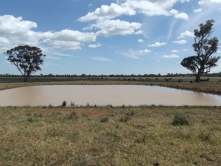 3261 The McGrane Way, Tullamore NSW 2874