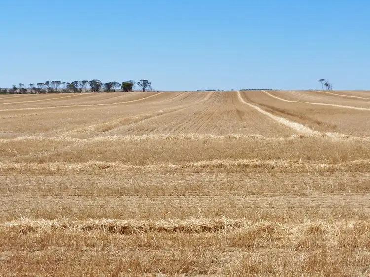 Fifth view of Homely rural property listing, 1729 Kondut East Rd, Kondut, via, Wongan Hills WA 6603