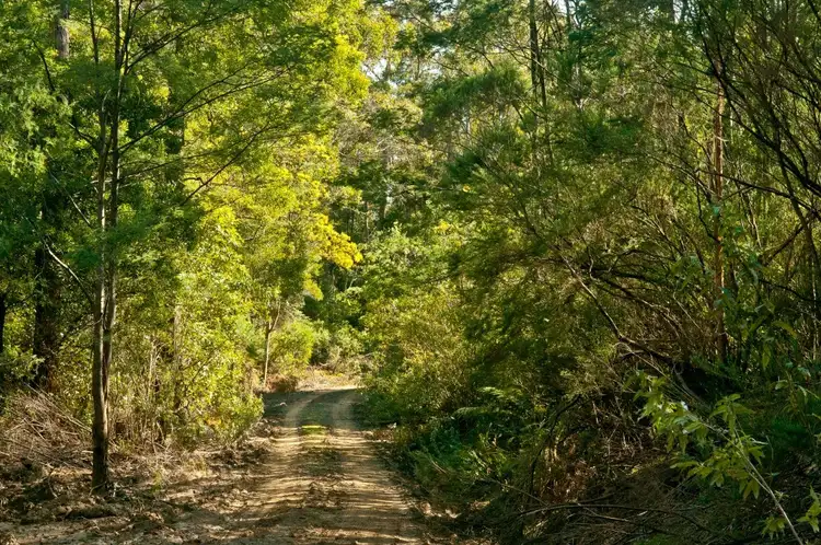 Third view of Homely rural property listing, 0 Crowdens Road, Western Creek TAS 7304