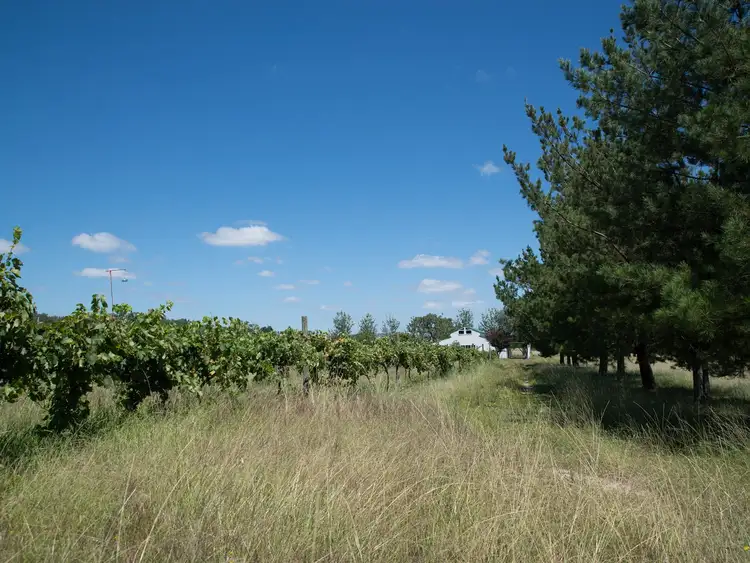 Fourth view of Homely rural property listing, 1807 Ulan Road, Mudgee NSW 2850