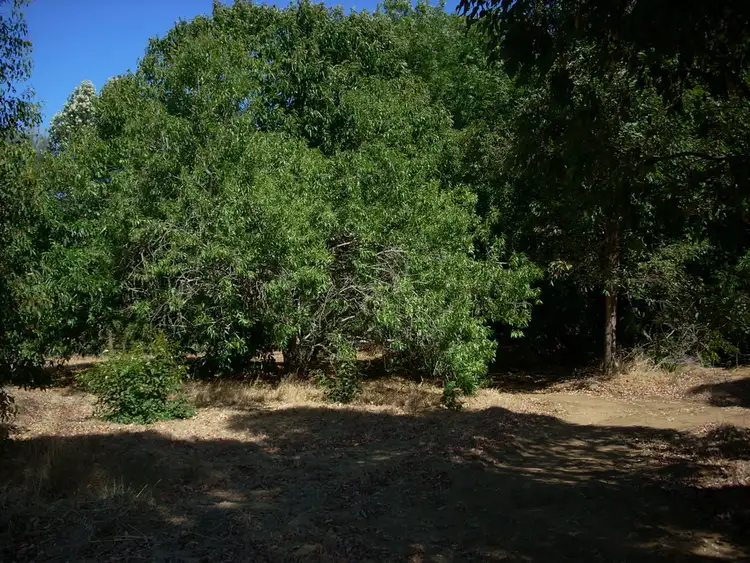 Fourth view of Homely land listing, 71 VICTORIA PARADE, Donnybrook WA 6239