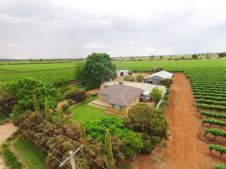 Second view of Homely rural property listing, Farm 2631 Zandona Road, Yenda NSW 2681
