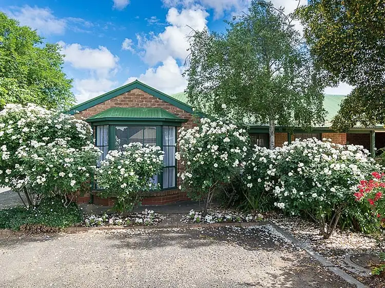 Main view of Homely unit listing, 1/1 Sandergrove Road, Strathalbyn SA 5255