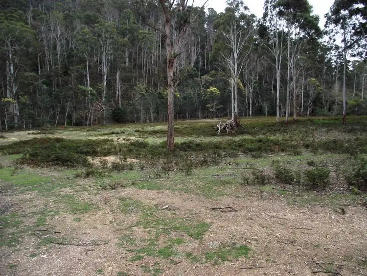 Second view of Homely rural property listing, . Henry Street, Mangana TAS 7214