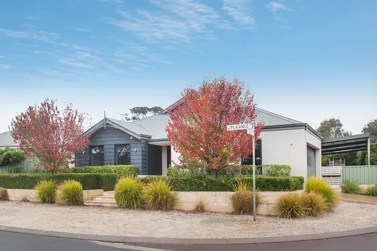 16 Platanus Crescent, Margaret River WA 6285