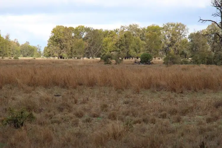 Fifth view of Homely rural property listing, Lot 10 Mooroobie Lane, Goondiwindi QLD 4390
