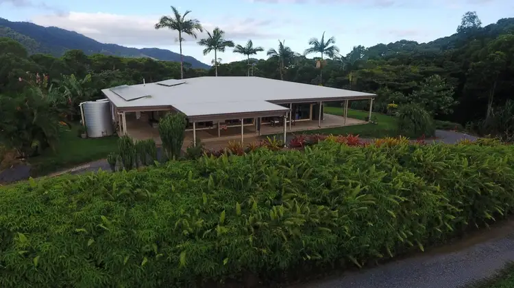 120 Ronald Road, Daintree QLD 4873