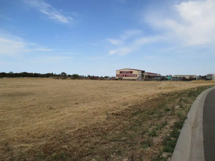 Main view of Homely land listing, Lot 31 Big Olive Grove, Tailem Bend SA 5260