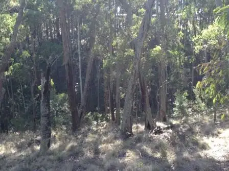 Fourth view of Homely land listing, Lot 46 Dales Creek Avenue, Dales Creek VIC 3341