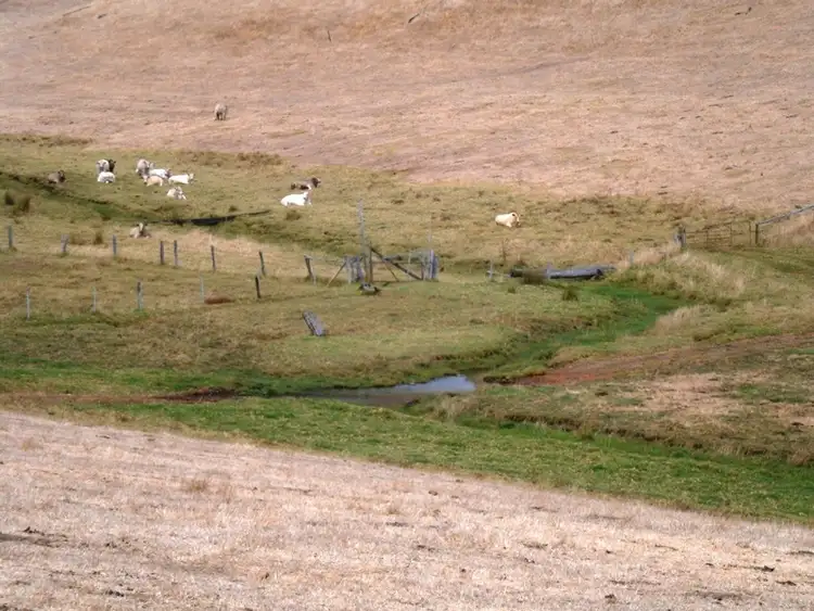 Fifth view of Homely rural property listing, Lot 1 Lowe Rd, Bridgetown WA 6255