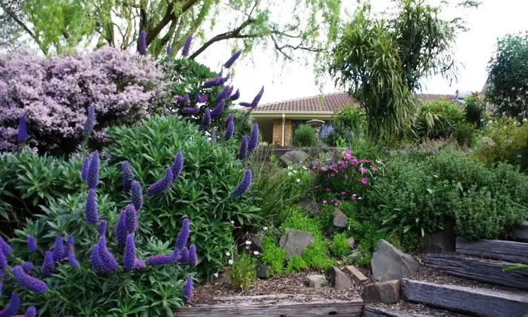 Third view of Homely house listing, 30 Mount Gambier Road, Casterton VIC 3311