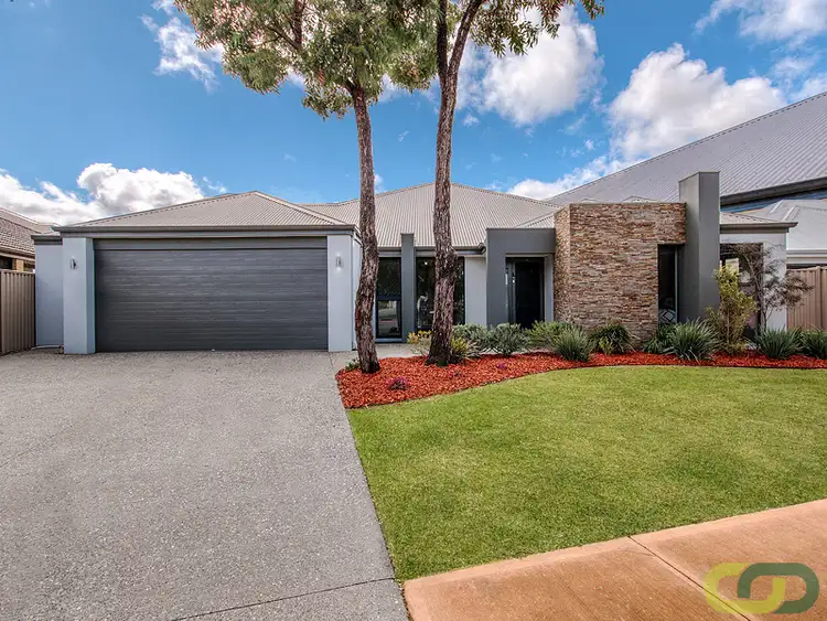 Main view of Homely house listing, 5 Palomino Parade, Baldivis WA 6171