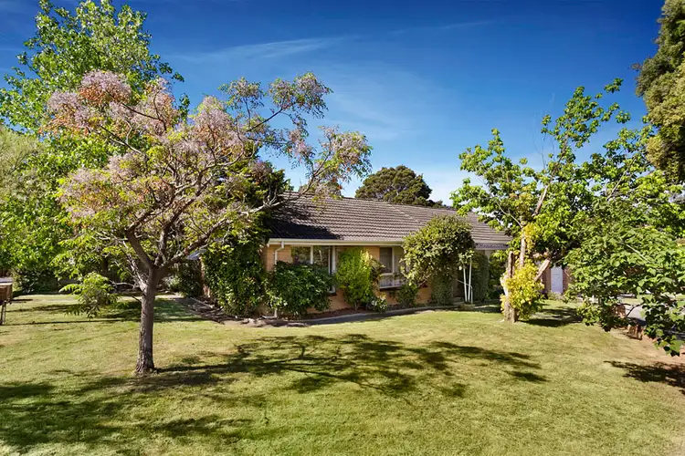 9 Belvoir St, Doncaster East VIC 3109