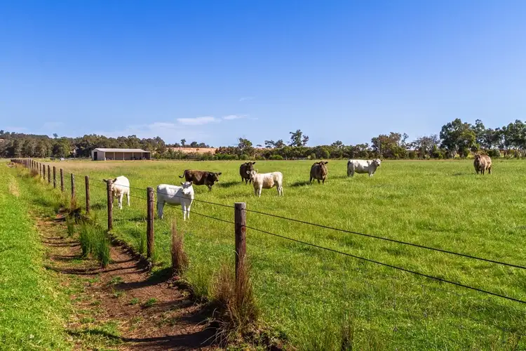 Seventh view of Homely rural property listing, Address available on request