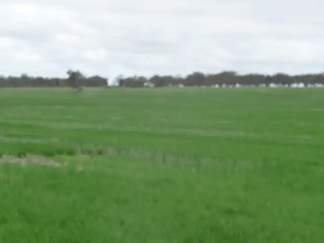 Fifth view of Homely rural property listing, L801&802 Carr Road, Kokeby WA 6304