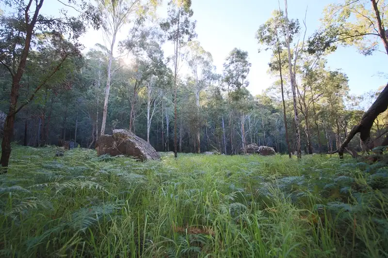 Main view of Homely rural property listing, Lot 129 Kangaroo Creek Road, Kangaroo Creek NSW 2460