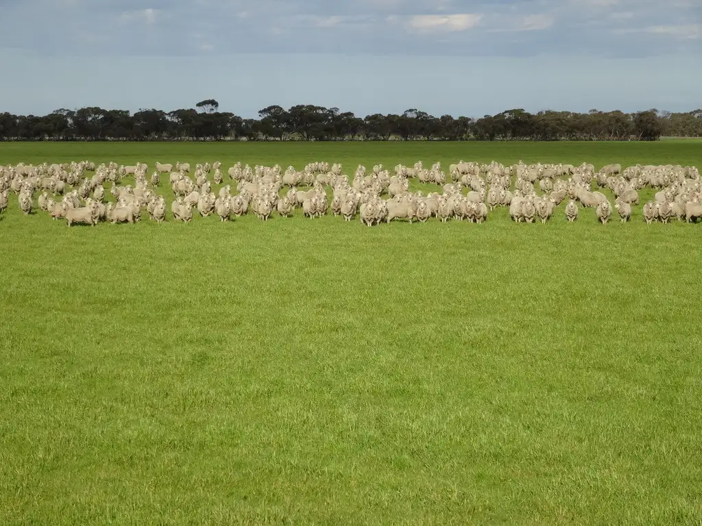 Main view of Homely rural property listing, 2376 Red Bluff Road, Bordertown SA 5268