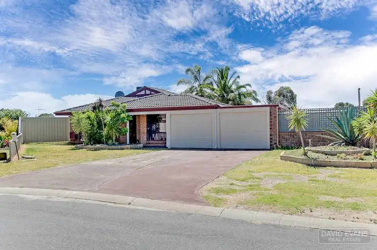 Fifth view of Homely house listing, 6 Brae Court, Cooloongup WA 6168