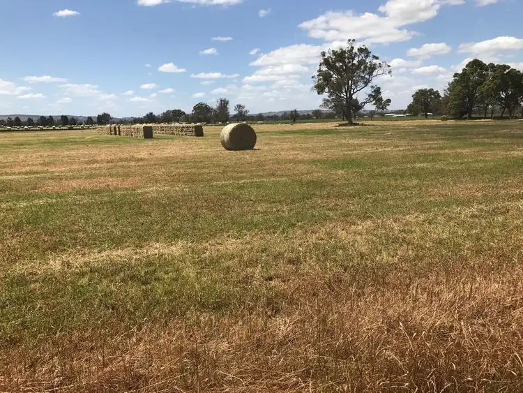 Sixth view of Homely rural property listing, Lot 46 Four Acre Road, Uduc WA 6220