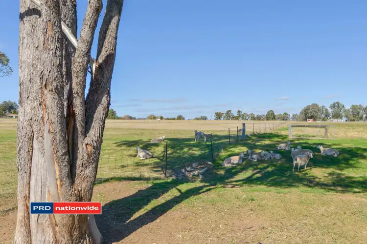 Sixth view of Homely land listing, 7 Manina Way, Tamworth NSW 2340