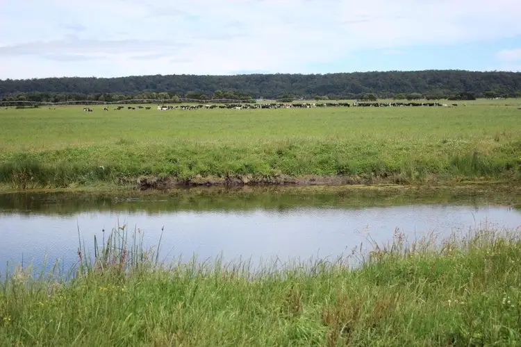 Main view of Homely rural property listing, 315 Partridge Road, Togari TAS 7330