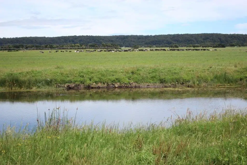 Main view of Homely rural property listing, 315 Partridge Road, Togari TAS 7330