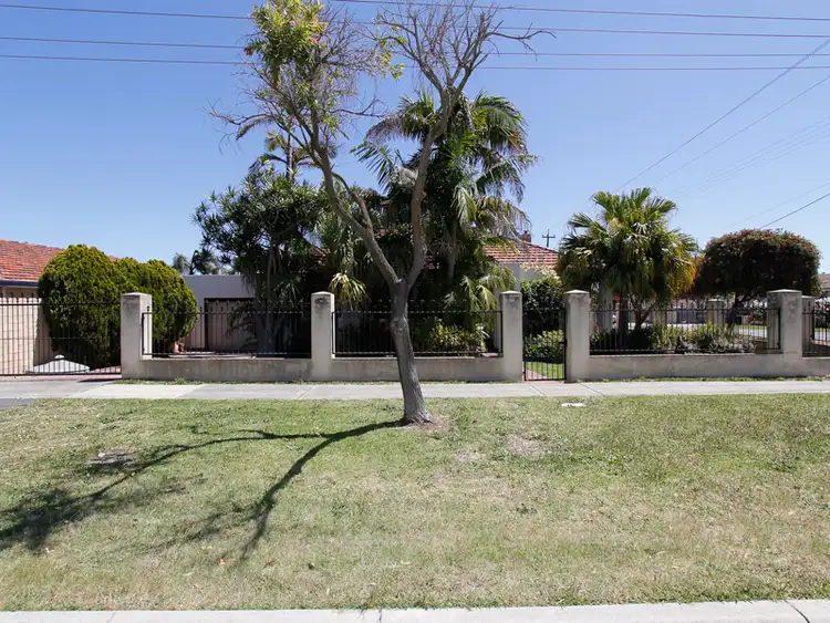 Main view of Homely house listing, 213 Waterloo Street, Tuart Hill WA 6060