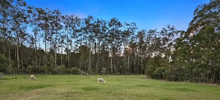 Fifth view of Homely house listing, 34 Clyde Road, Matcham NSW 2250