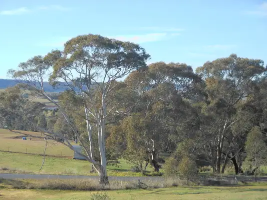 32 Apps lane, Young NSW 2594