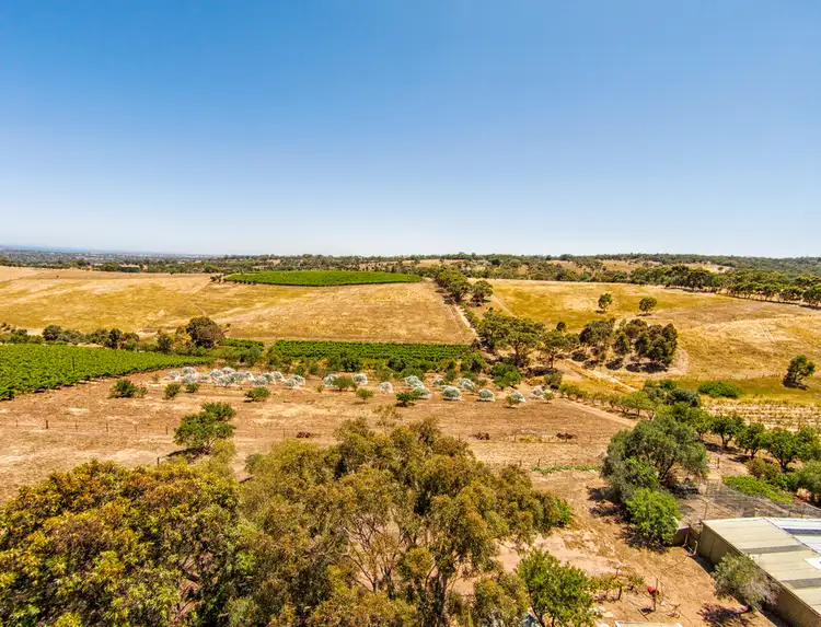 Fourth view of Homely house listing, 237 Upper Penneys Hill Road, Onkaparinga Hills SA 5163