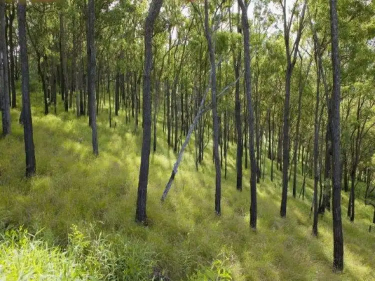 Sixth view of Homely land listing, 475 Campbells Pocket Road, Wamuran Basin QLD 4512