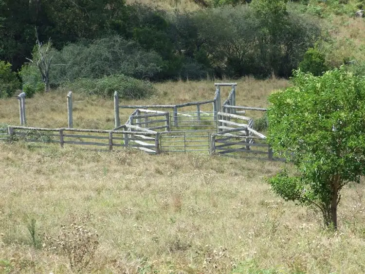 Fifth view of Homely rural property listing, 207 Tilbaroo Road, Elands NSW 2429
