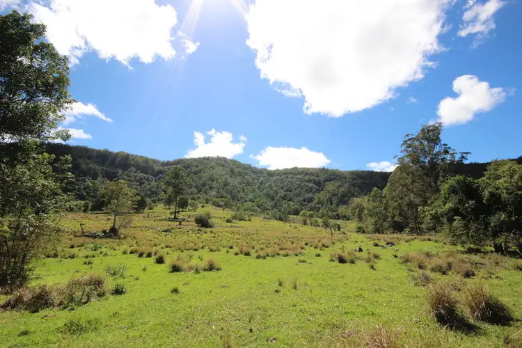 Lot 133 Forbes River Road, Birdwood NSW 2446