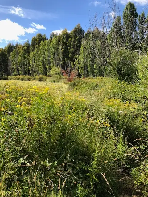 Fourth view of Homely land listing, 2022 Nugent Road, Nugent TAS 7172