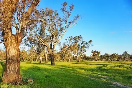 Main view of Homely land listing, Lot 10 Sturt Highway, Gillenbah, Narrandera NSW 2700