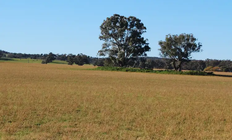 Second view of Homely rural property listing, Address available on request