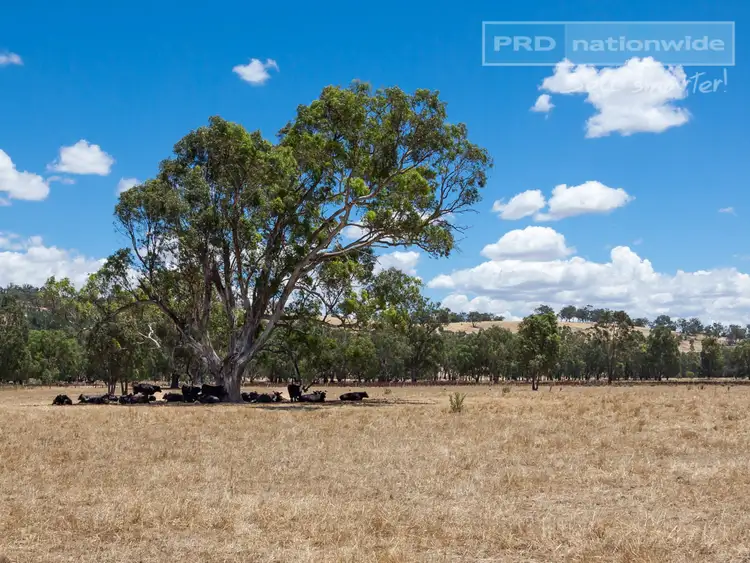 Fourth view of Homely house listing, 86 Roach Road, Moorong NSW 2650