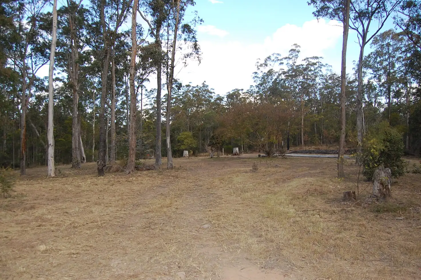 Main view of Homely rural property listing, Lot 41 Ramsey Road, Drake NSW 2469