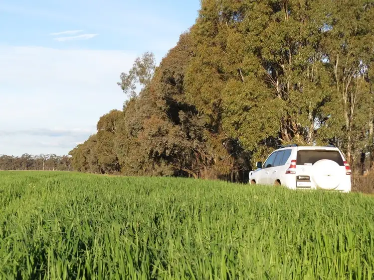 Fourth view of Homely rural property listing, 264 OLD DENILIQUIN ROAD, Moama NSW 2731
