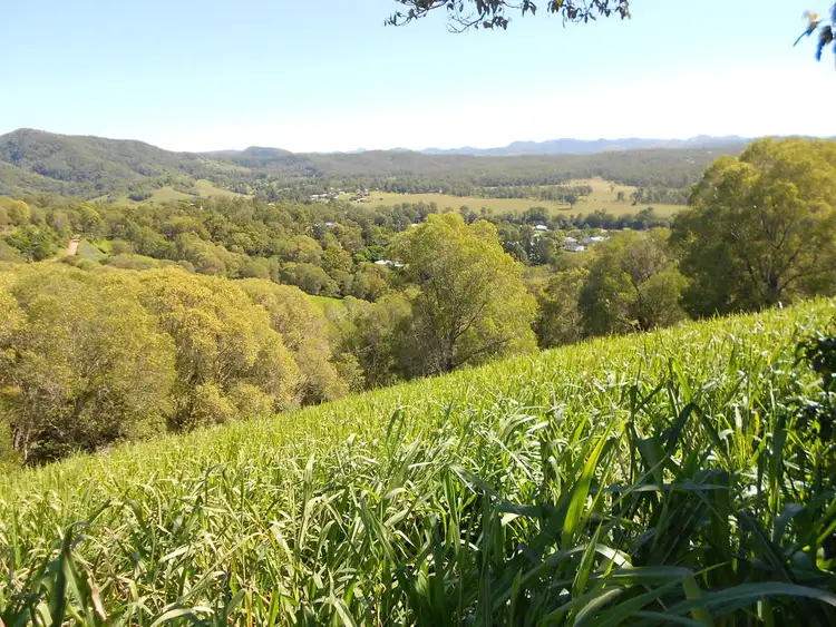 Fifth view of Homely land listing, 46 Elizabeth St, Imbil QLD 4570