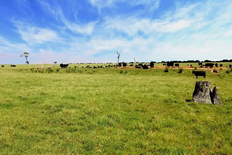 Sixth view of Homely rural property listing, Address available on request