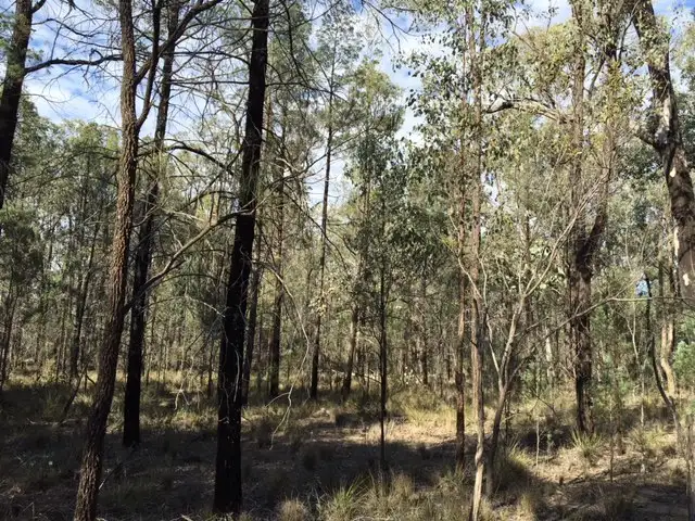 Third view of Homely rural property listing, Lot 75 WEST VALLEY ROAD, Tara QLD 4421