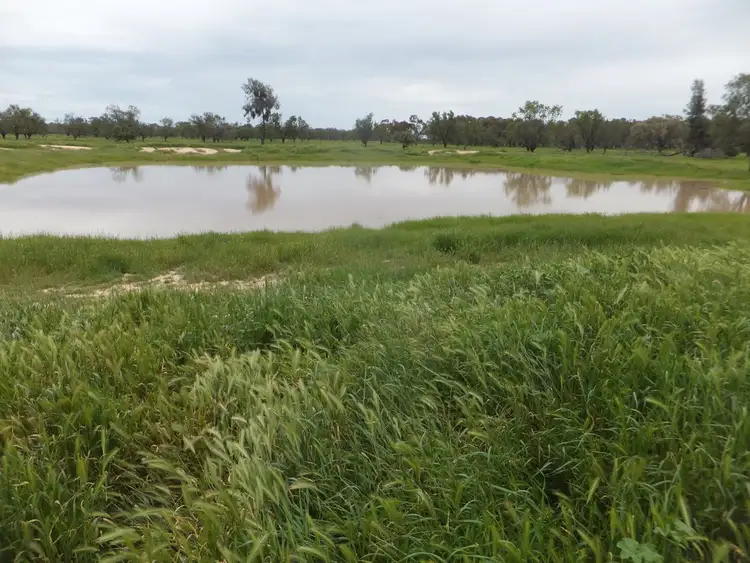 Fourth view of Homely rural property listing, 153 LEEWANG ROAD, Forbes NSW 2871