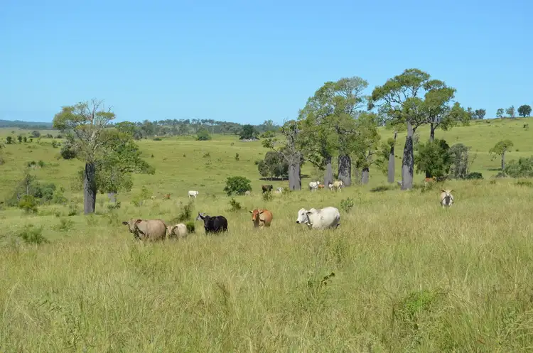 Second view of Homely rural property listing, Address available on request